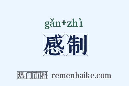 感制是什么意思的图片